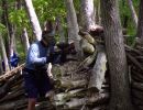 taylor s bachelor party  5 24 25  