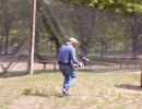 taylor l s bachelor party  52425  