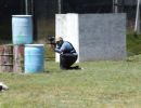 tmart s bachelor party 6 29 24  