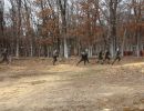 tyler s bachelor party 3 28 26  