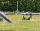 uw gi fellows  6 20 26  