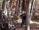 whitefish s bachelor party  10 18 25  
