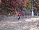 whitefish s bachelor party  10 18 25  