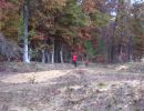 whitefish s bachelor party  10 18 25  