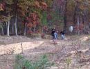 whitefish s bachelor party  10 18 25  
