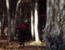 whitefish s bachelor party  10 18 25  