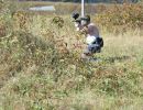 will s paintball outing  9 14 25  