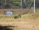 will s paintball outing  9 14 25  