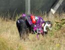 will s paintball outing  9 14 25  