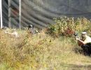 will s paintball outing  9 14 25  