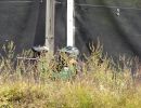 will s paintball outing  9 14 25  