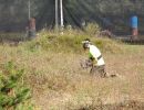 will s paintball outing  9 14 25  