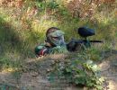will s paintball outing  9 14 25  