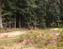 wills bachelor party 7 26 25  