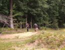 wills bachelor party 7 26 25  