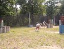 zach s bachelor party  6 14 25  