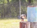 zach s bachelor party  6 14 25  