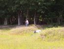zach s bachelor party  6 14 25  