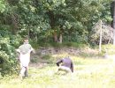 zach s bachelor party  8 2 25  